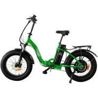 Электровелосипед Elbike Taiga 1 VIP 13 зеленый