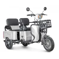 Электротрицикл Rutrike Gelbert Tuban 48V/60V 600Вт 